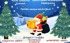 ΨΑΡΙ: 2η γιορτή φωταγώγησης Χριστουγεννιάτικου δέντρου