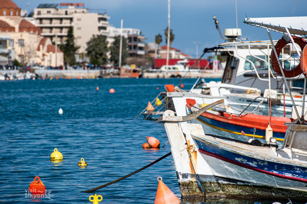 Ψαρόβαρκες στο Κιάτο